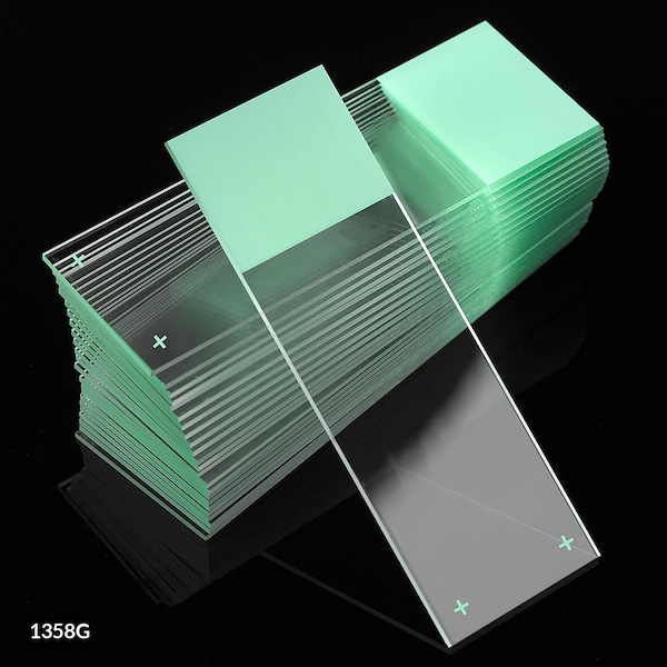 Globe Scientific Microscope Slides, Diamond White Glass, 25x75mm, Charged, 90 Deg. Ground Edges, Green Frosted, 72PK 1358G-72 - main